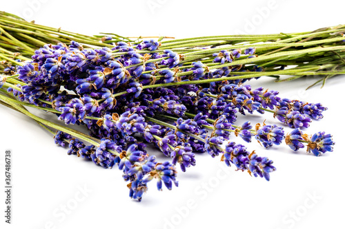 Lavender flowers isolated on white background. Close up. Space for text