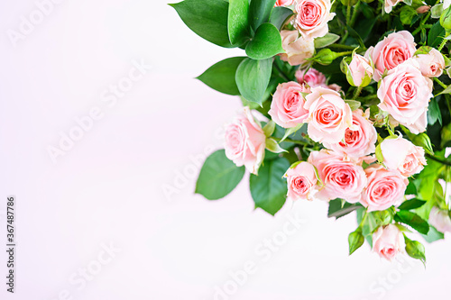 Bouquet of several branches of pink roses. Background of pink roses © aeril