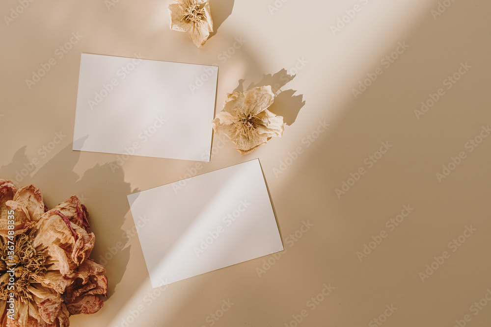 Blank paper sheet cards with empty copy space and flower buds with sunlight shadows on beige background. Flat lay, top view business mock up template. Blank paper sheet cards with empty copy space and flower buds with sunlight shadows on beige background. Flat lay, top view business mock up template.