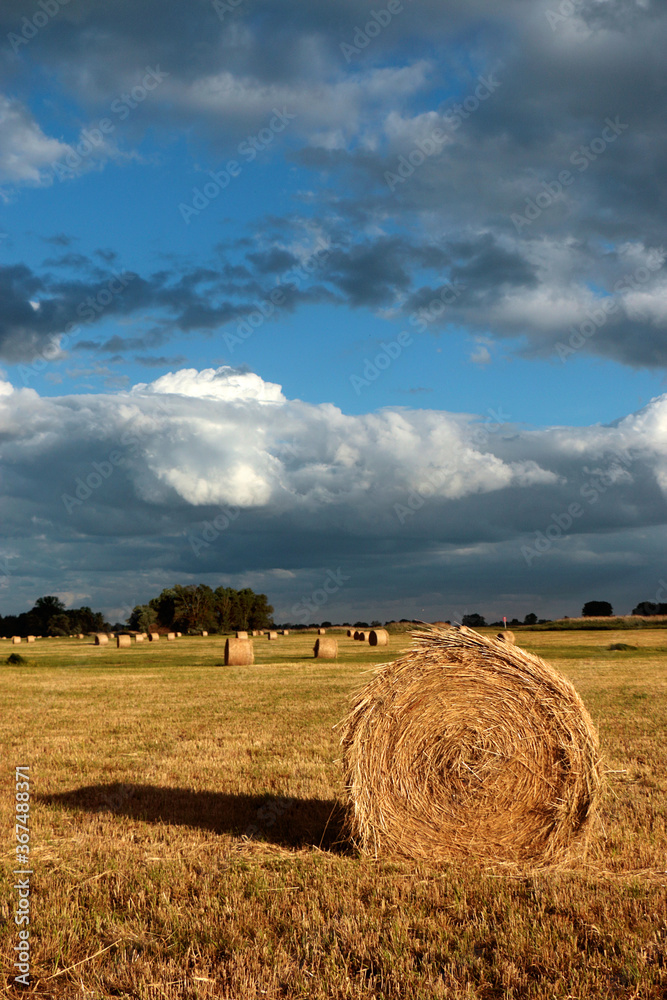 Dark clouds over a sheaf of hay in the meadow