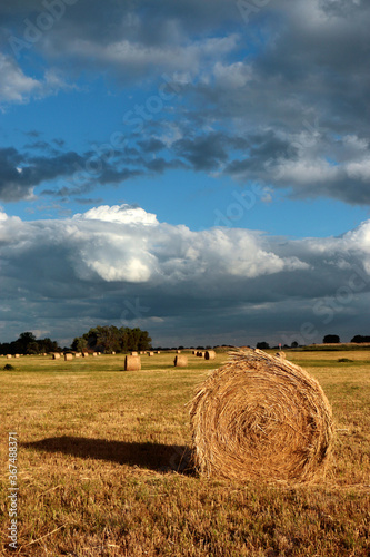 Dark clouds over a sheaf of hay in the meadow © Dariusz