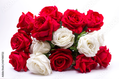 red and white roses on white background