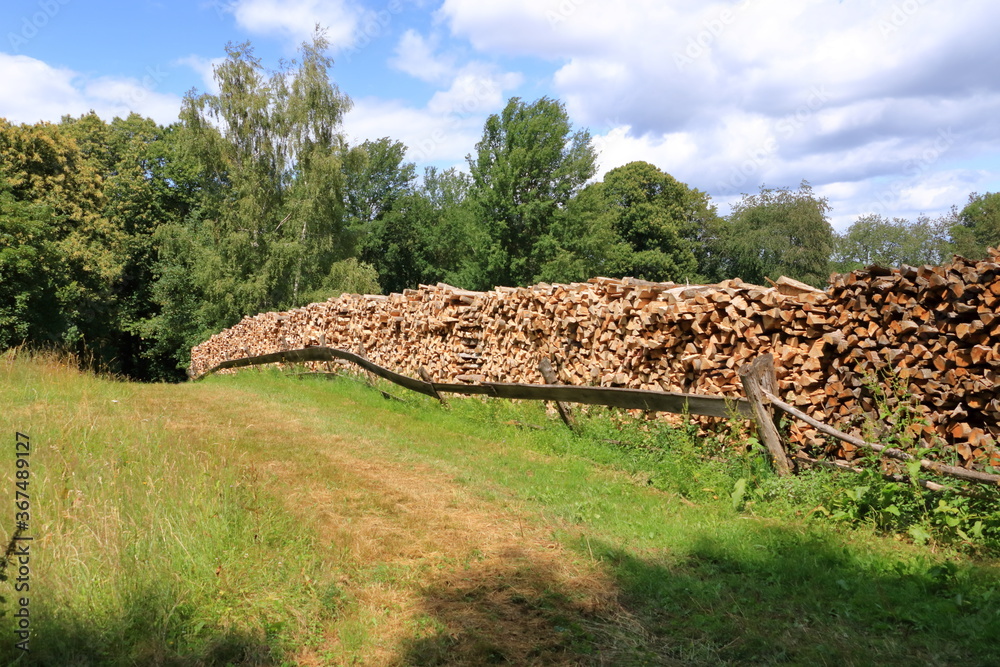 Woodpile of freshly harvested spruce logs. Trunks of trees cut and stacked in the forest. Wooden Logs
