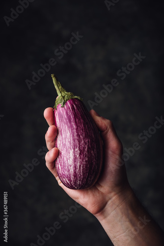 One purple aubergine in hand on dark cconcrete background photo