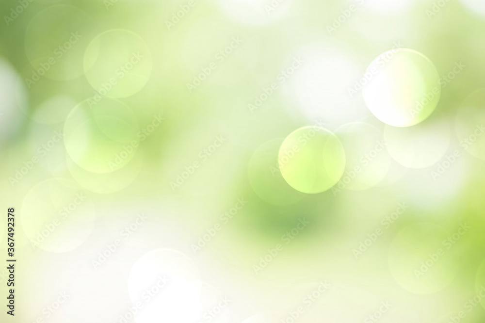 Obraz premium Green bokeh abstract background blur