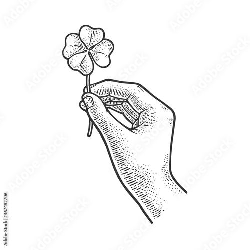 clover in hand sketch engraving vector illustration. T-shirt apparel print design. Scratch board imitation. Black and white hand drawn image.