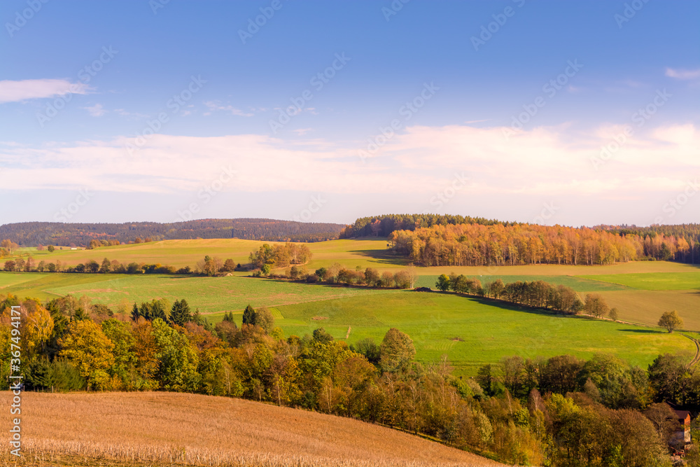 Autumn landscape with colorful foliage on trees