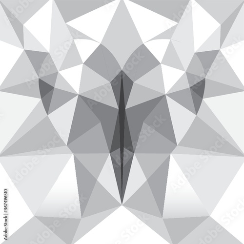 geometrical background