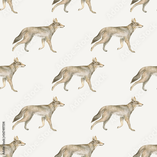 Watercolor seamless pattern with coyote. Hand-drawn dog isolated on white background. Wild prairie animal