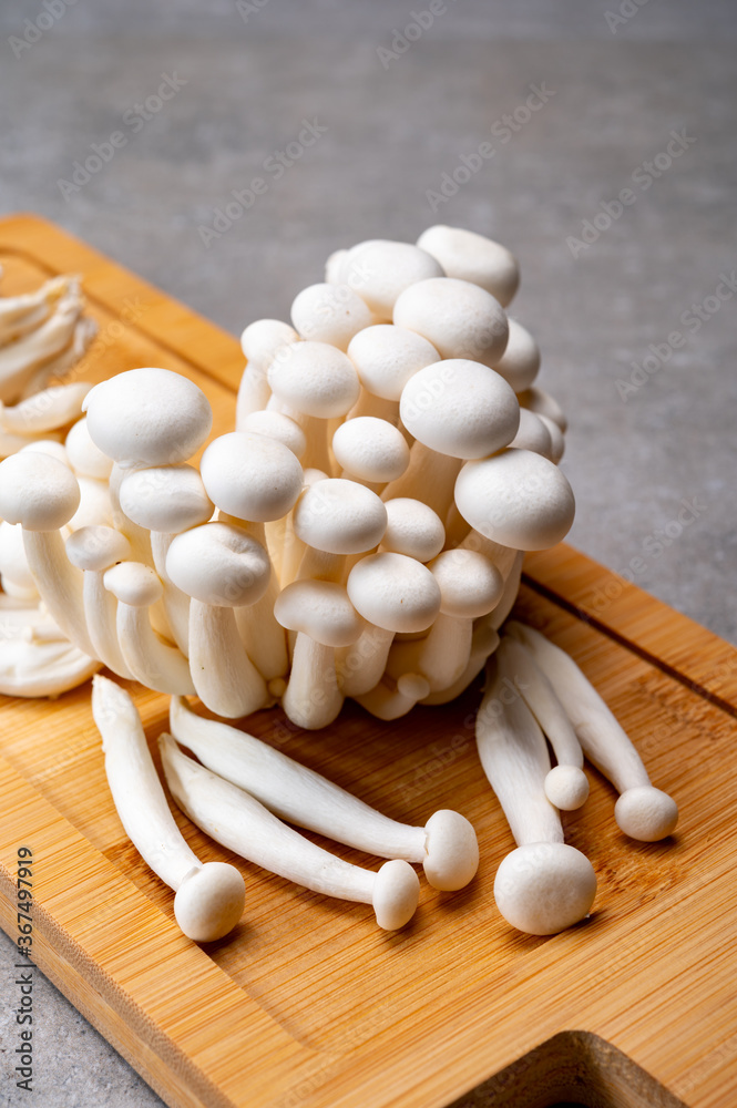 Fresh bunapi white shimeji edible mushrooms from Asia, rich in umami tasting compounds such as guanylic and glutamic acid Fresh bunapi white shimeji edible mushrooms from Asia, rich in umami tasting compounds such as guanylic and glutamic acid