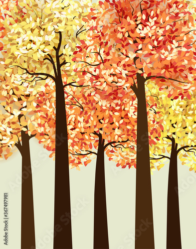 Autumn multicolored forest