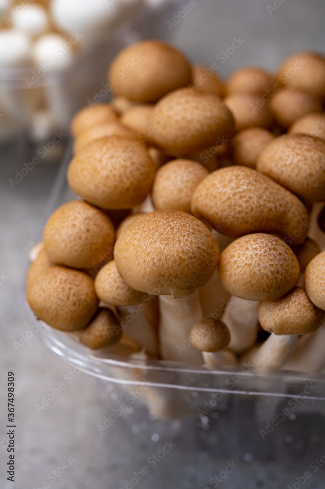 Fresh buna brown and bunapi white shimeji edible mushrooms from Asia, rich in umami tasting compounds such as guanylic and glutamic acid Fresh buna brown and bunapi white shimeji edible mushrooms from Asia, rich in umami tasting compounds such as guanylic and glutamic acid