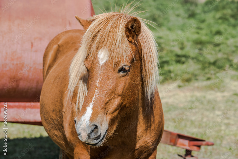 Obraz premium Iceland: the complete tour