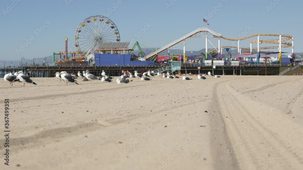 Sea gulls on sunny sandy california beach, classic ferris wheel in amusement park on pier in Santa Monica pacific ocean resort. Summertime iconic view, symbol of Los Angeles, CA USA. Travel concept. Sea gulls on sunny sandy california beach, classic ferris wheel in amusement park on pier in Santa Monica pacific ocean resort. Summertime iconic view, symbol of Los Angeles, CA USA. Travel concept.