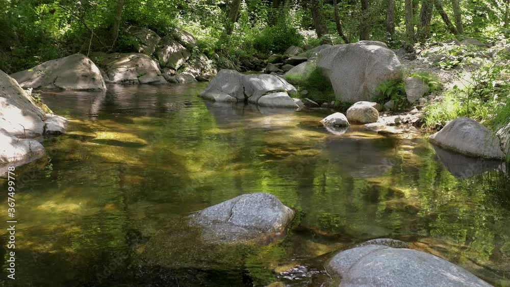 Small transparent in a sunny day river in the forest Small transparent in a sunny day river in the forest