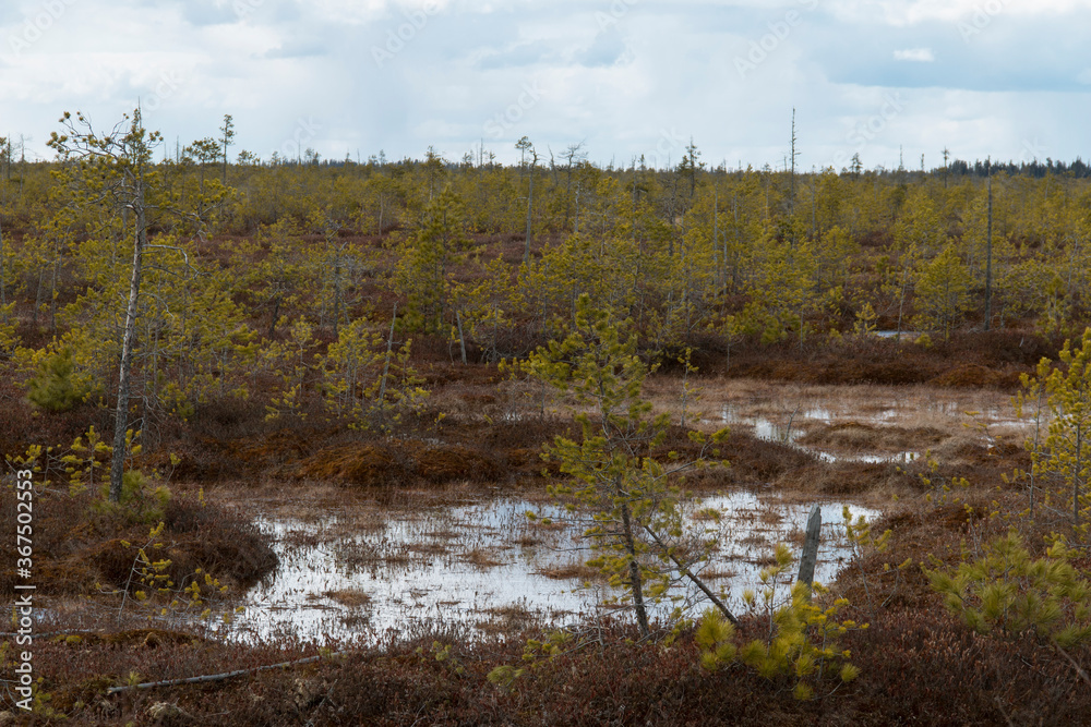 The vast and impenetrable expanses of the spring tundra The vast and impenetrable expanses of the spring tundra