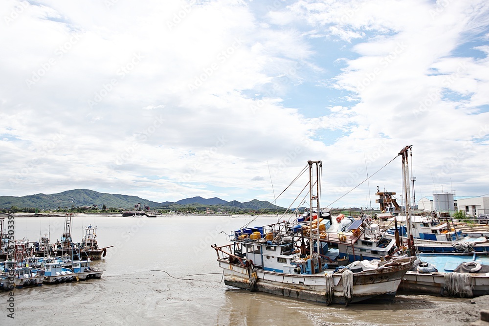 Fototapeta premium 한국에서여행하며찍은사진입니다