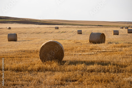 Beautiful landscape with straw bales in harvested fields, with blue sky and clouds, agriculture farming concept