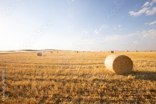 Beautiful landscape with straw bales in harvested fields, with blue sky and clouds, agriculture farming concept
