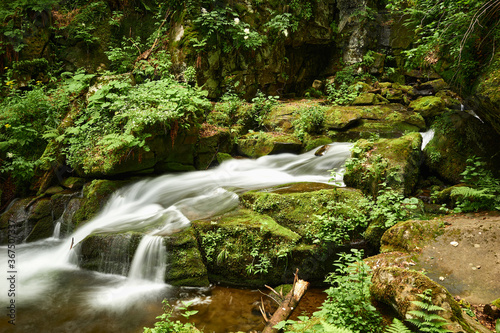 Calm water flow in a mountain stream. Pacifying stream flow among the beautiful Carpathian mountains. Voievodyn river, Sokolovi Skeli Reserve, Zakarpattia, Ukraine photo