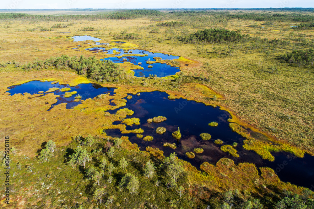 Soomaa National Park. An aerial view of Valgesoo bog lakes in the daylight in Estonian nature, Northern Europe. 
