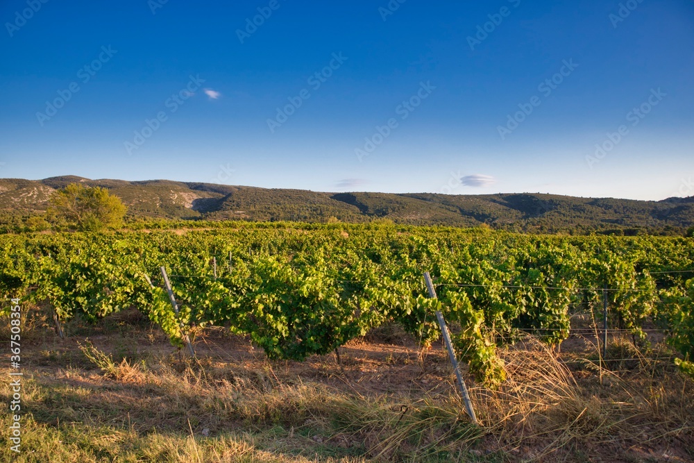Campagne du sud de la France, région des Corbières, Aude, Occitanie. Pays du vin et des vignobles. Campagne du sud de la France, région des Corbières, Aude, Occitanie. Pays du vin et des vignobles.