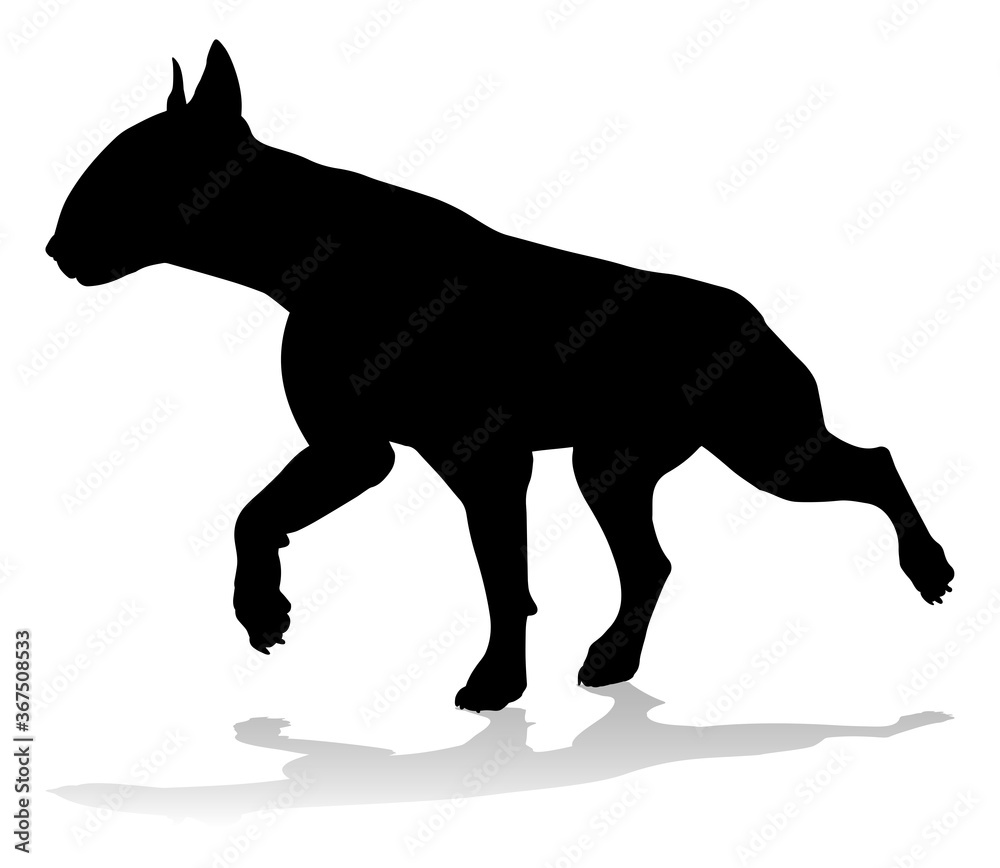 Fototapeta premium A detailed animal silhouette of a pet dog