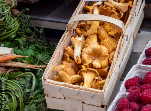 Basket of chanterelles in the market