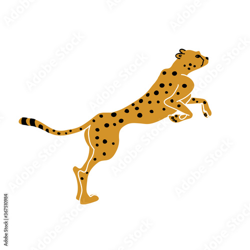 Jumping cheetah vector illustration. African animal drawing  flat style.