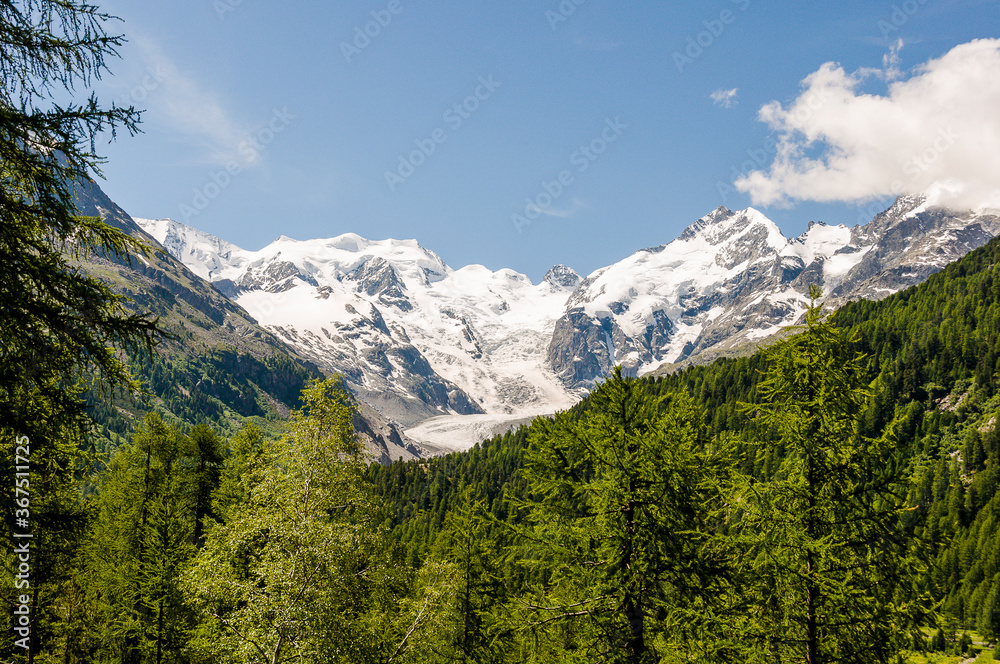 Obraz premium Morteratsch, Morteratschgletscher, Bernina, Gletscher, Piz Bernina, Berninatal, Berninapass, Gletscherweg, Gletscherpfad, Engadin, Alpen, Graubünden, Sommer, Schweiz