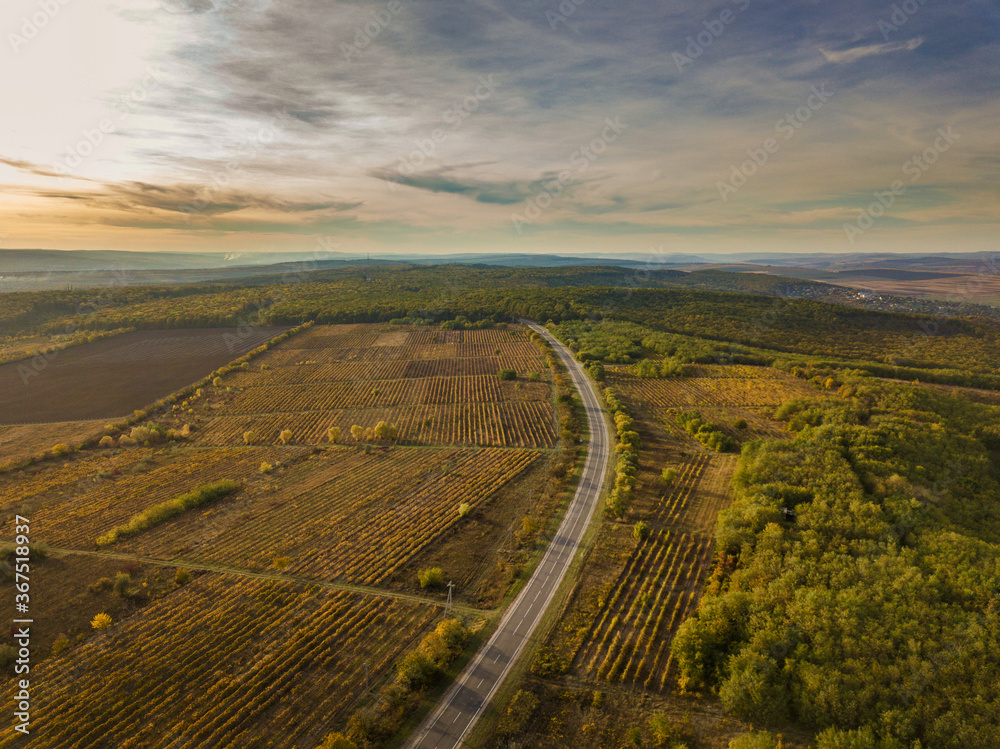Aerial view over autumnal vineyards. Real, highangle. Highway