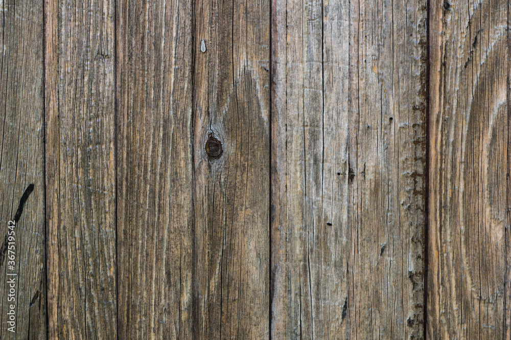 Old weathered wooden wall with boards and nails, texture of wood. 