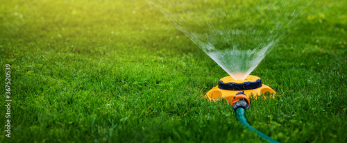 Fotografie garden equipment - water sprinkler watering lawn at home backyard