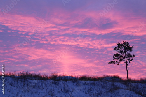 sunset in the steppe