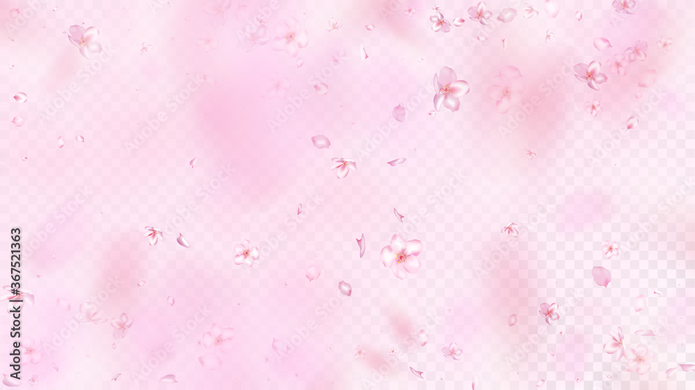 Nice Sakura Blossom Isolated Vector. Feminine Blowing 3d Petals Wedding Border. Japanese Blooming Flowers Illustration. Valentine, Mother's Day Watercolor Nice Sakura Blossom Isolated on Rose