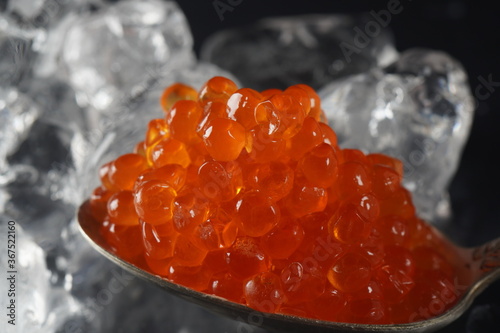Red Caviar in bowl on ice background. Close-up salmon caviar. Delicatessen