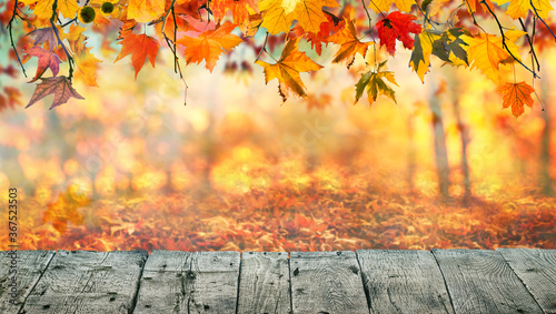 Wooden table with orange leaves autumn background photo