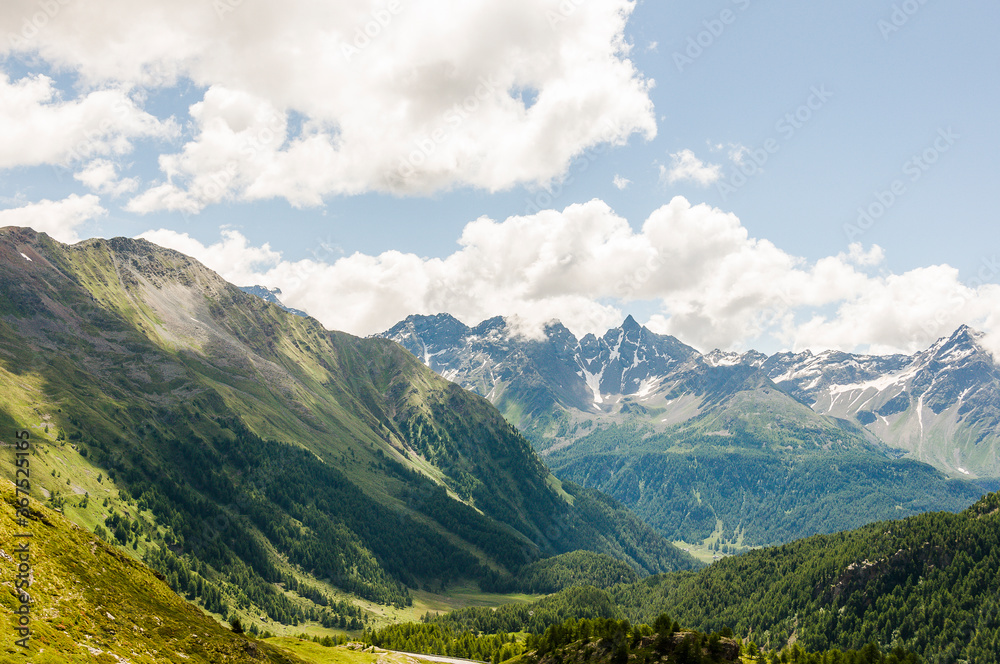 Obraz premium Poschiavo, Puschlav, valposchiavo, Bernina, Val Bernina, Berninapass, Passhöhe, Wanderweg, Ospizio Bernina, Zugfahrt, Zugreise, Wasserscheide, Lago Bianco, Alpen, Graubünden, Sommer, Schweiz