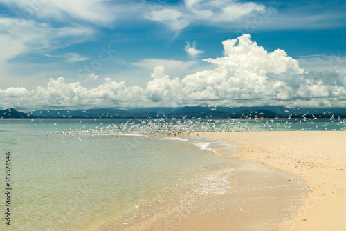 Point de vuede la plage de l'île dAntanimoro, archipel Radama - Madagascar