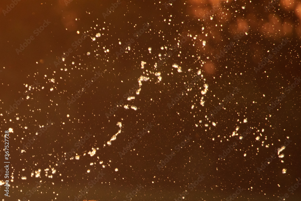 Obraz premium Water spray at sunset in summer.