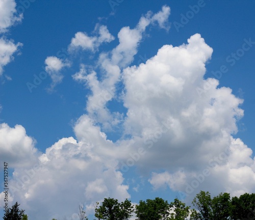 The fluffy white clouds in the blue sky.