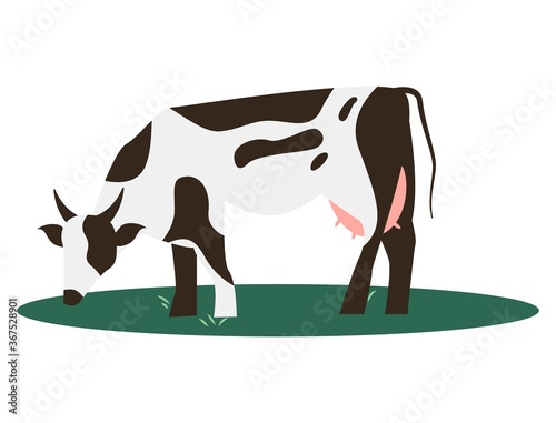 Cow farm animal vector illustration.