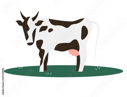 Cow farm animal vector illustration.