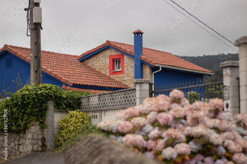 Foto Blue house with roses