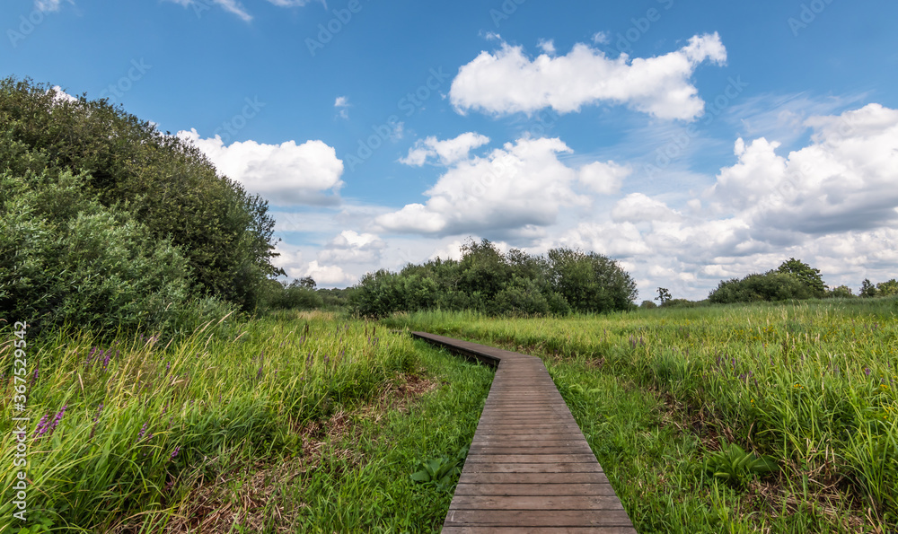 Wooden walkway through the beautiful nature reserve of the Antwerp Campine in Viersel, Belgium.