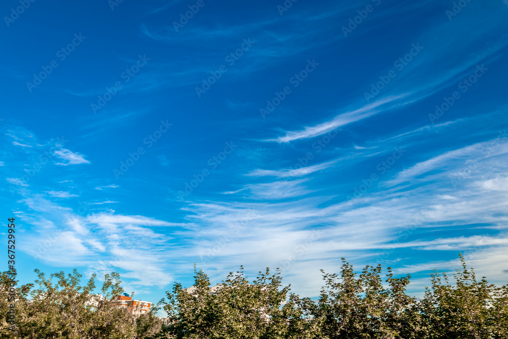 Fototapeta premium Beautiful blue sky background, wide angel shot.