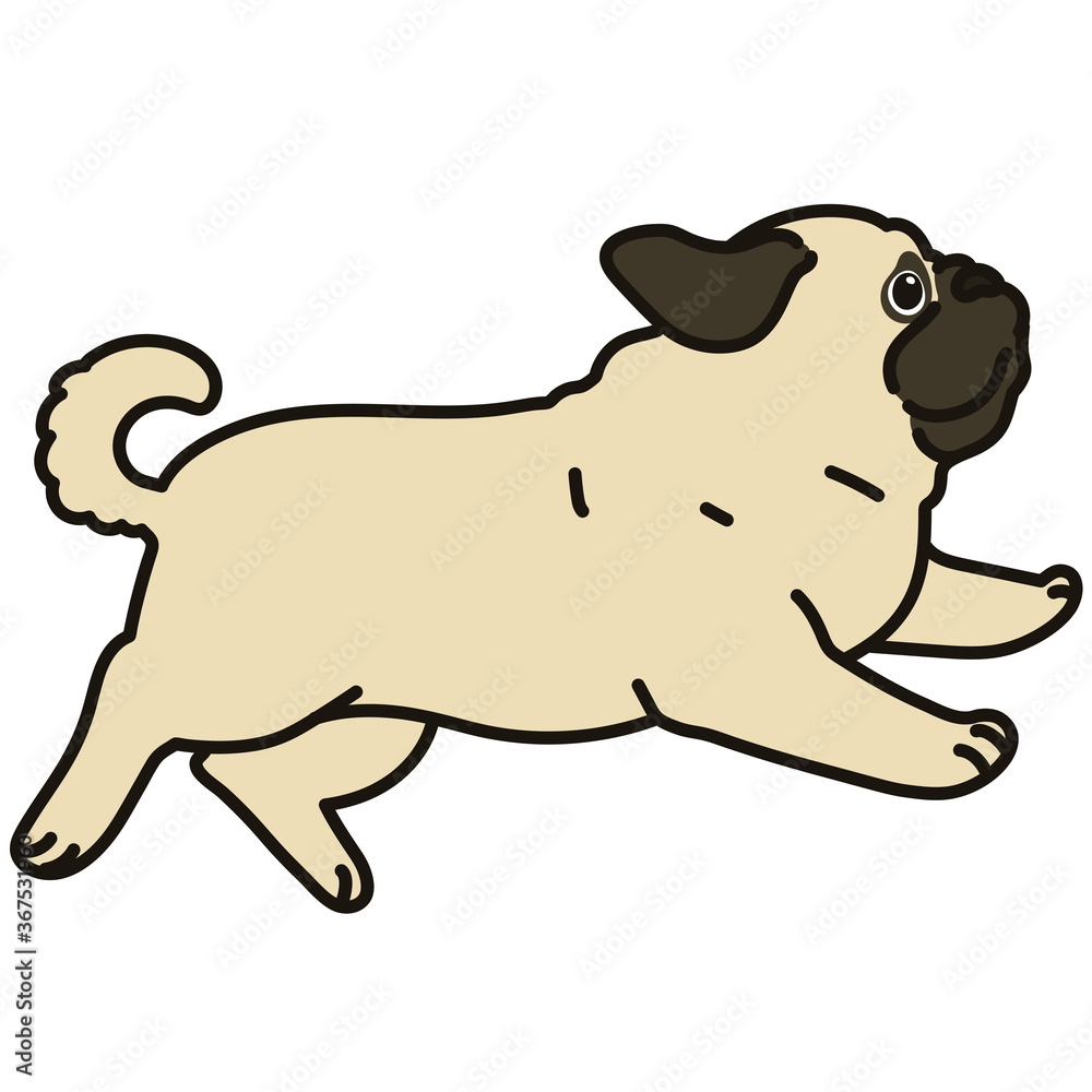 Fototapeta premium Outlined simple and cute pug jumping