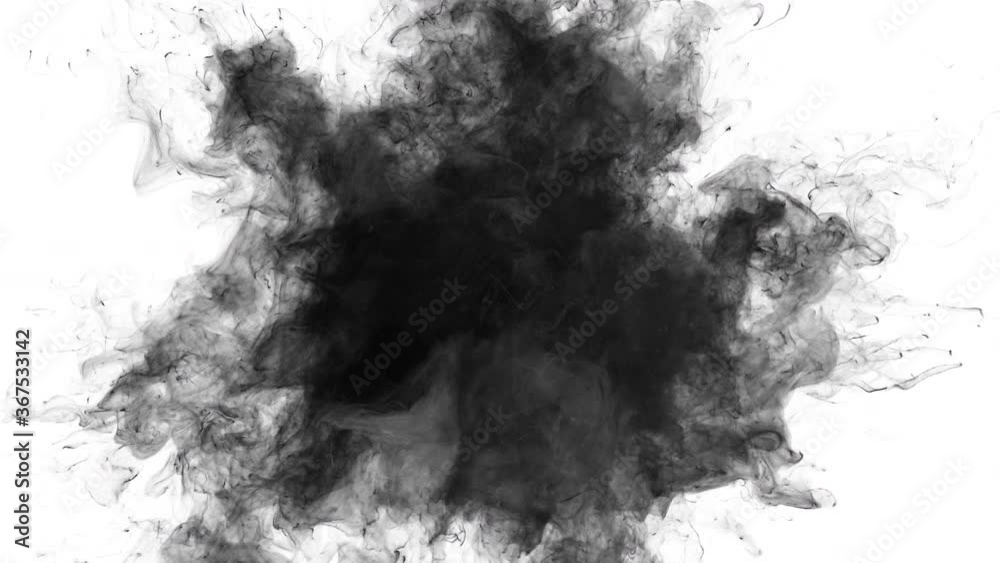 Smoke Burst - black powder gas explosion. Fluid ink particles slow motion alpha channel isolated on white 4k Smoke Burst - black powder gas explosion. Fluid ink particles slow motion alpha channel isolated on white 4k