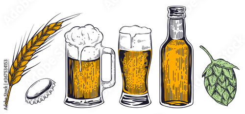 Wheat ear, cap, mug, glass, beer bottle and hop flower. hand drawn vector, engraving style