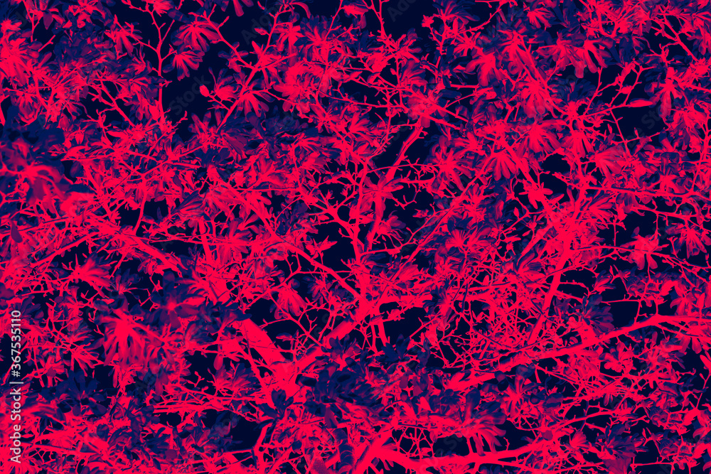 Abstract floral pattern of flowers on tree branches with colorful red and blue duotone effect